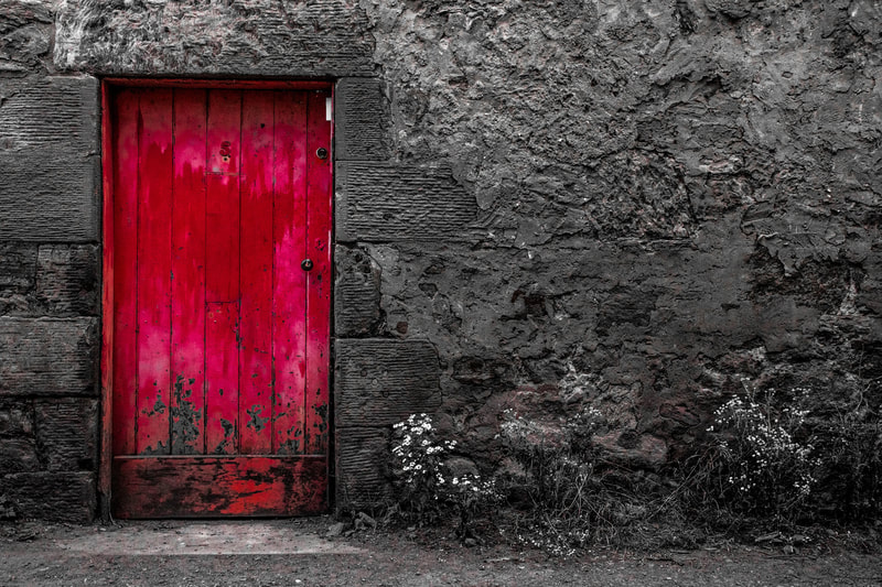 Red Door - Anthony Robson